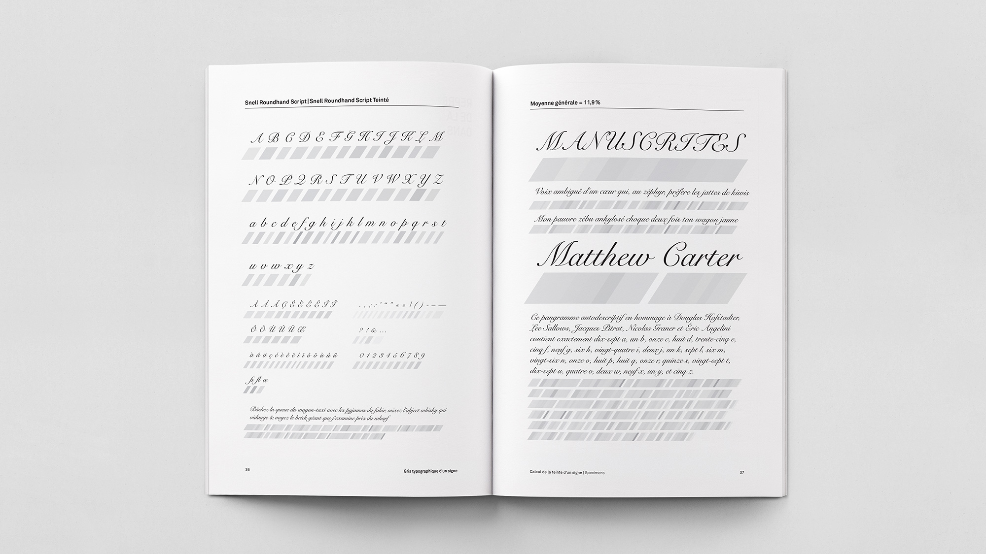 Superficie-typographique-quantification-3